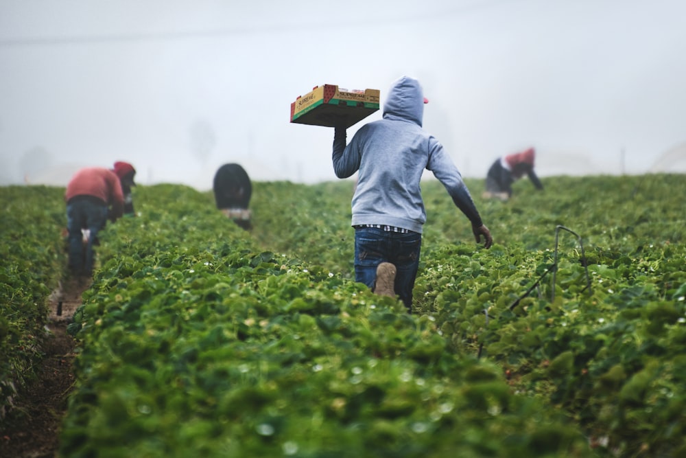 AI-powered farm management voice assistant in action