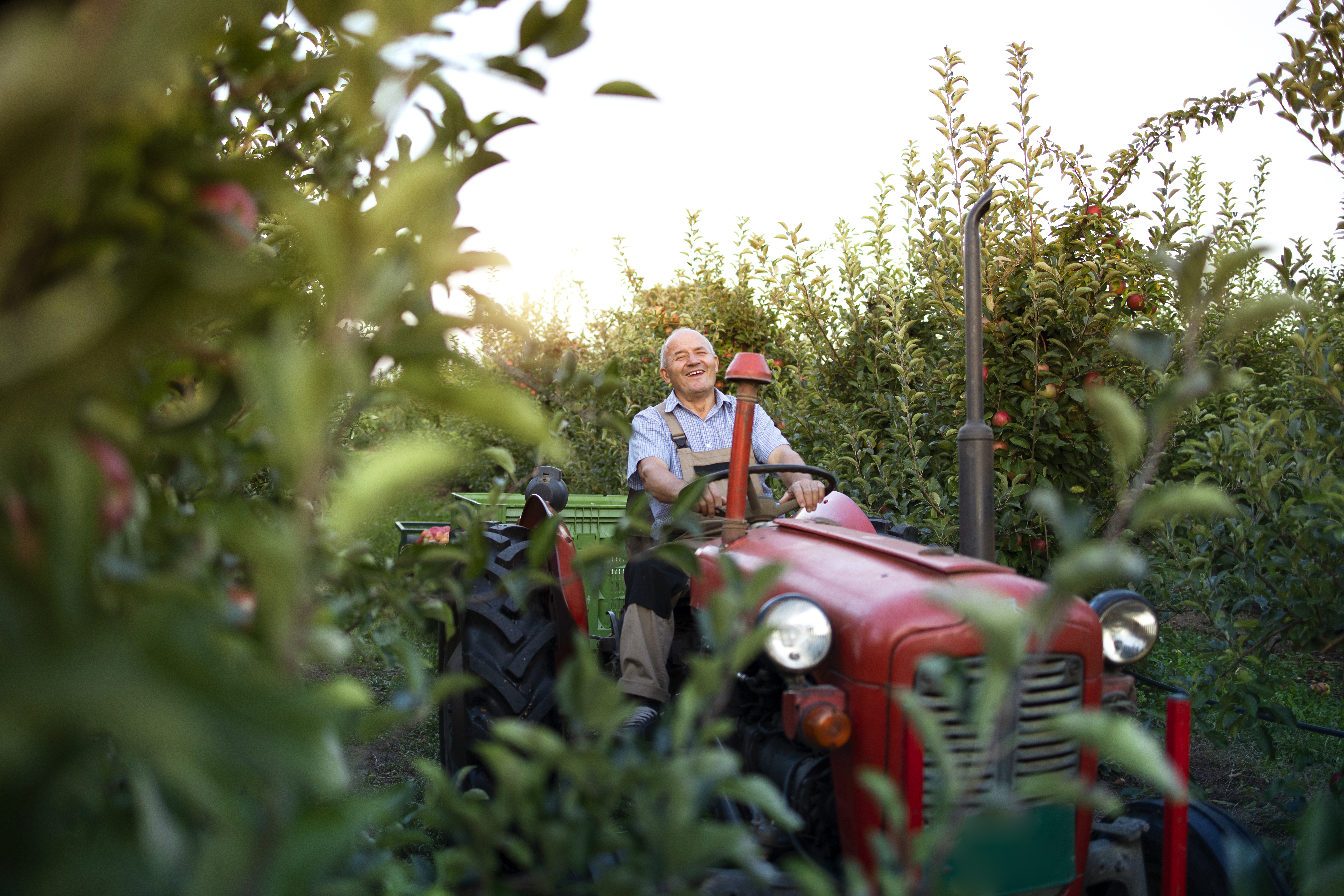 Farmer using F4RM app in the field on a mobile device