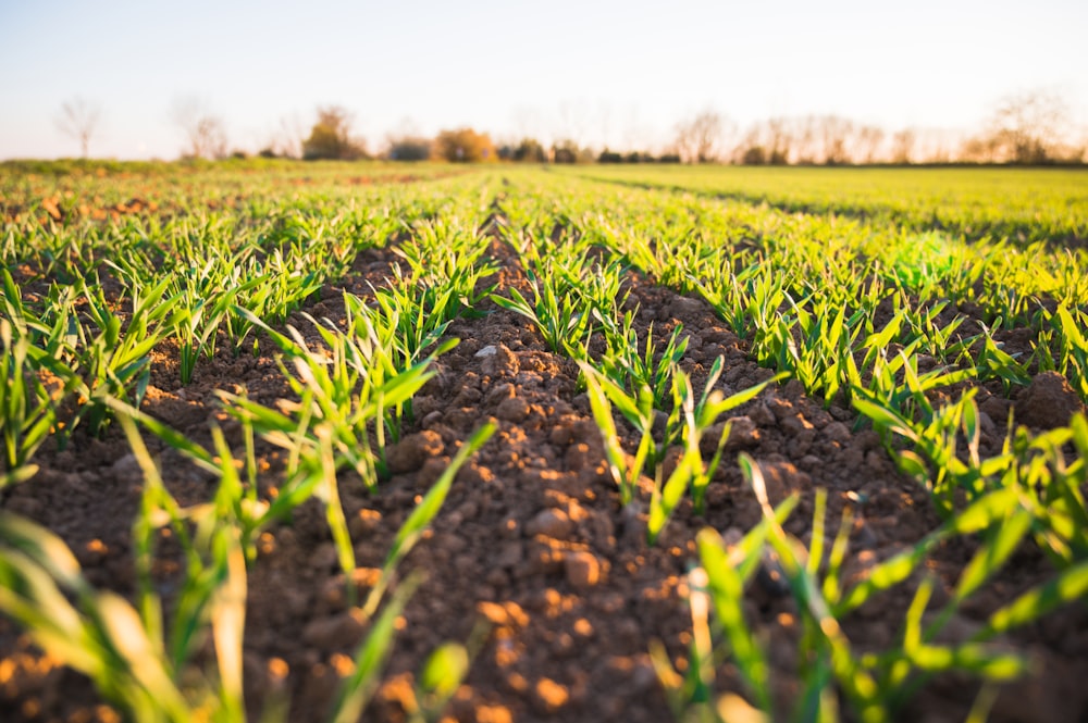 Farm equipment and asset tracking with F4RM